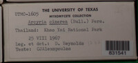 Image Associated With the Occurence